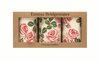 Caddy Tin Set of 3-Pink Roses