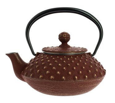Iwachu Teapot Kanbin Brown/Gold 320ml