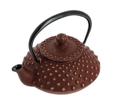 Iwachu Teapot Kanbin Brown/Gold 320ml