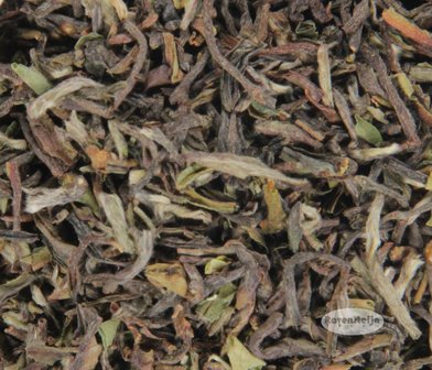 Nepal Jun Chiyabari Himalayan Handcrafted Tips-Spring