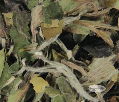 China Fujian Fuding Bai Mu Dan - White Peony