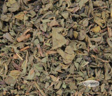 Oriental Mint/ Moroccan Mint