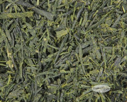 Japan Kakegawa Shizuoka fukamushi Sencha Fuji