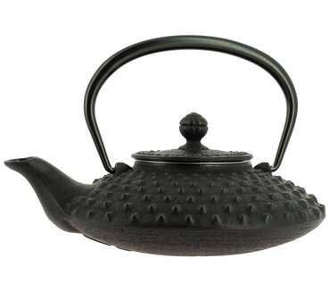 Iwachu Teapot Kanbin Black 500ml