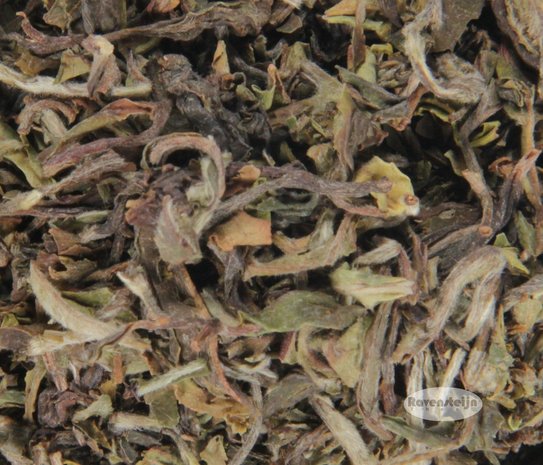 Nepal White Jun Chiyabari