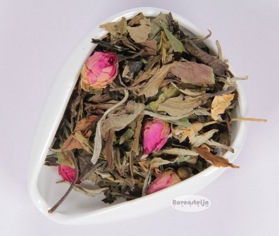 China Fujian Fuding Pai Mu Tan Rose