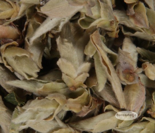 China Yunnan Ya Bao - Wild Tea Buds