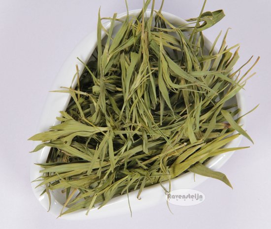 Bamboo Leaves (Bambuseae)