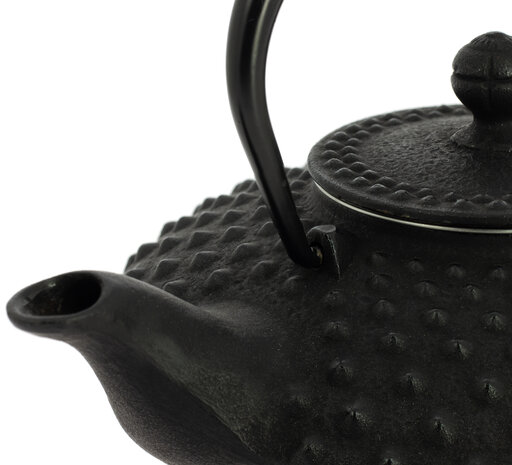 Iwachu Teapot Kanbin Black 500ml