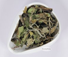 China Fujian Fuding Bai Mu Dan - White Peony