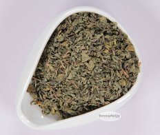 Oriental Mint/ Moroccan Mint